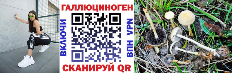 Галлюциногенные грибы Cubensis  сколько стоит  Приозерск 